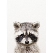 Jeronkarji Bebek Rakun, Bebek Hayvanlar Sanatsal Baskı Synplus Tablo Ahşap Poster Dekoratif