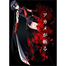 Jeronkarji Akame Ga Kill Tablo Ahşap Poster Dekoratif
