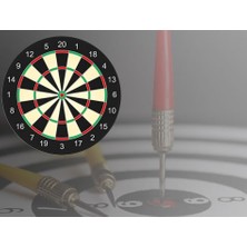 Nazik Endam Çift Taraflı Dart Seti