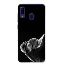 Printify Samsung Galaxy M10S ile Uyumlu 1mm Slim Fit Kedi 1 050A Baskılı Şeffaf Silikon Kılıf