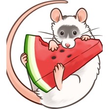 Jeronkarji Karpuz Dilimi Tablo Ahşap Poster Dekoratif