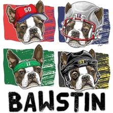 Jeronkarji Bawstin Super Star Boston Spor Köpek Tablo Ahşap Poster Dekoratif