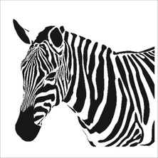 Stencil Sarayi Boyama Şablon Hayvanlar - 8401