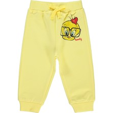 Tweety Kız Bebek Eşofman Altı 6-18 Ay Açık Sarı