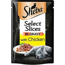 Sheba Pouch Tavuklu Yetişkin Kedi Konservesi 6 Adet  85 gr