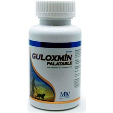 Ofüm Guloxmin Palatable Sağlığı Kedi ve Köpek Tableti 90 Tablet