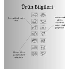 Bella Casa Kids Hayvanlar Çizgi Çalışma Seti, Eğitici Oyuncak, Montessori Eğitim Oyuncak, Motor Zeka Oyun