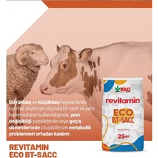 Reva Revitamin Eco Bt-Sacc Toz Premiks 25 kg Kraft