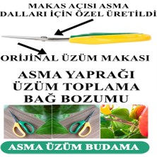 Xolo Üzüm Asma Çilek Bitki Budama Meyve Sebze Toplama Makası Bağ Makası