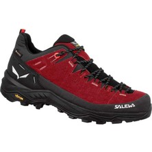 Salewa Alp Traıner 2 Gtx W