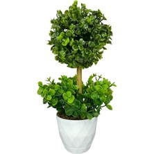 Nettenevime Yapay Ağaç Şimşir Top Tek Toplu Şimşirli 12X31CM Beyaz Saksıda