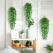 Nettenevime Yapay Çiçek 3lü Set Saksıda Sarkan Sarmaşık Hedera Oval ve Yuvarlak Yapraklı Modeller