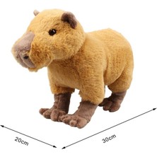 Generally1 30CM Peluş Capybara Oyuncak Doldurulmuş Hayvan Peluş Yumuşak (Yurt Dışından)