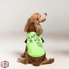 Salya Store I Always With You - T-Shirt  Pamuk Köpek Kıyafeti, Köpek Yazlık  KK-132