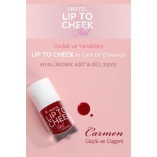 Pastel Plump Upextra Hydratıng Plumpıng Gloss Velıp To Cheek Tınt