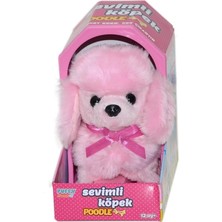 Alışveriş Devi  47171 Sevimli Pembe Poodle