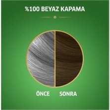 Wella Naturals Saç Boyası Büyüleyici Kahve 6/1