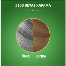 Wella Naturals Saç Boyası Açık Küllü Kumral 8/1