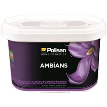 Polisan Ambians 2,5l A Baz Renklendirilmiş