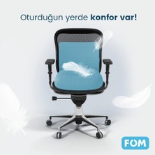 FOM Smith Ve Bels Visco Anatomik Oturma Simidi Ve Bel Destek Yastık Ofis Seti, Ortopedik, Açık Mavi