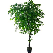 Yeşilada Yapay Ficus Benjamia  Ağaç 1.60 mt Boy Şelale  Ağacı Kalın Dokulu Islak Yaprak
