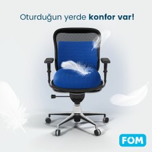 FOM Smith Ve Bels Visco Anatomik Oturma Simidi Ve Bel Destek Yastık Ofis Seti, Ortopedik, Lacivert