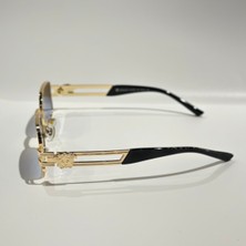 Artan Luxury "Modern Stil Erkek Güneş Gözlüğü"