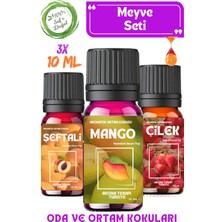 Aroma Terapi TR Meyve Seti 3 Adet - Esansiyel Yağ & Buhardanlık ve Difüzör Koku Seti 3X10ML