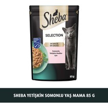 Sheba Somon Balıklı Kedi pouch  Yaş mama   85 gr