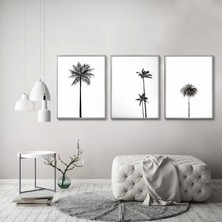 Kolaj Tasarım Siyah Beyaz Desenli Metal Çerçeveli Tablo Seti Gümüş /s