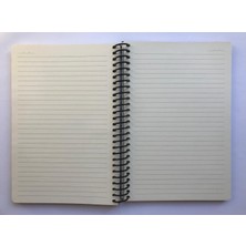 Colornote Papirüs Tuval, Çizgili Defter, Spiralli Sert Kapaklı (Ön Kapak Görseli; Kucaklama- Gustav Klimt) 16 x 23 Cm, 100 Yaprak