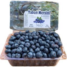 Neo Yaşam Taze Jumbo Yaban Mersini (Blueberry,likapa)