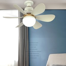Fairy LED Fan Işık Uzaktan Kumanda Kısılabilir Ev Çocuk Odası (Yurt Dışından)