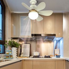 Fairy LED Fan Işık Uzaktan Kumanda Kısılabilir Ev Çocuk Odası (Yurt Dışından)