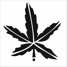 Stencil Sarayi Boyama Şablon Çiçek ve Meyve - 7001