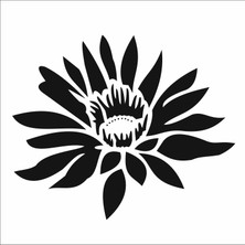 Stencil Sarayi Boyama Şablon Çiçek ve Meyve - 7901