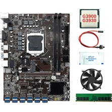 Decisive B250C 12 Kart Btc Madencilik ANAKART+G3900/G3930 Cpu+Fan+Termal Gres+4g Ddr4 Ram+Anahtar Hattı 12XUSB3.0 LGA1151 Msata (Yurt Dışından)