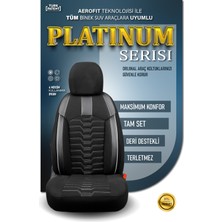 Stiloto Dacialodgyplatinum5