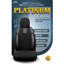 Stiloto Fordescortplatinum3