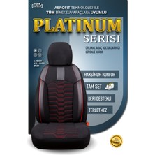 Stiloto Nissanmaximaplatinum6