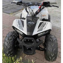 Skyjet 110CC Off Road Benzinli Atv