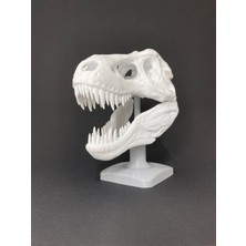 Root Made T-Rex Kafatası Tiranozor Büst Dekoratif Dinozor Stand Tyrannosaurus Dekoratif Obje
