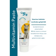 Catjoy Multivitamin Kedi Macunu 100 gr - Kediler Için C Vitaminli Taurinli Multivitamin Desteği