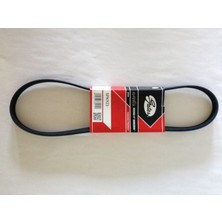 Gates Tempra Kanallı V Kayışı 5PK923 5PK925 7758870 Gold