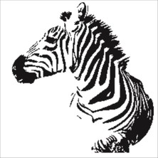 Stencil Sarayi Boyama Şablon Hayvanlar - 8404