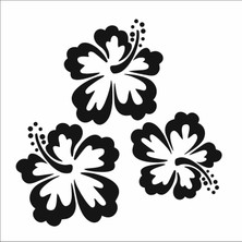 Stencil Sarayi Boyama Şablon Çiçek ve Meyve - 4752