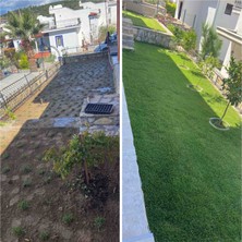 Bahçem Elit Zoysia Çim Fidesi 10.5 M2 Için 168 Adet 84'lük viol