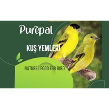 Purepal Sade Papağan Yemi 1 kg