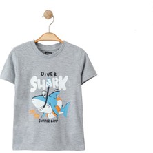 Babexi Erkek Çocuk Mini Diver Shark Baskılı Gri Tshirt