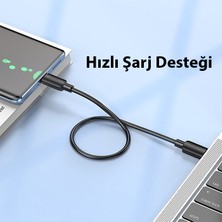 Hoco X96 Hyper 60W Type-C To Type-C Hızlı Şarj ve Data Kablosu 25CM